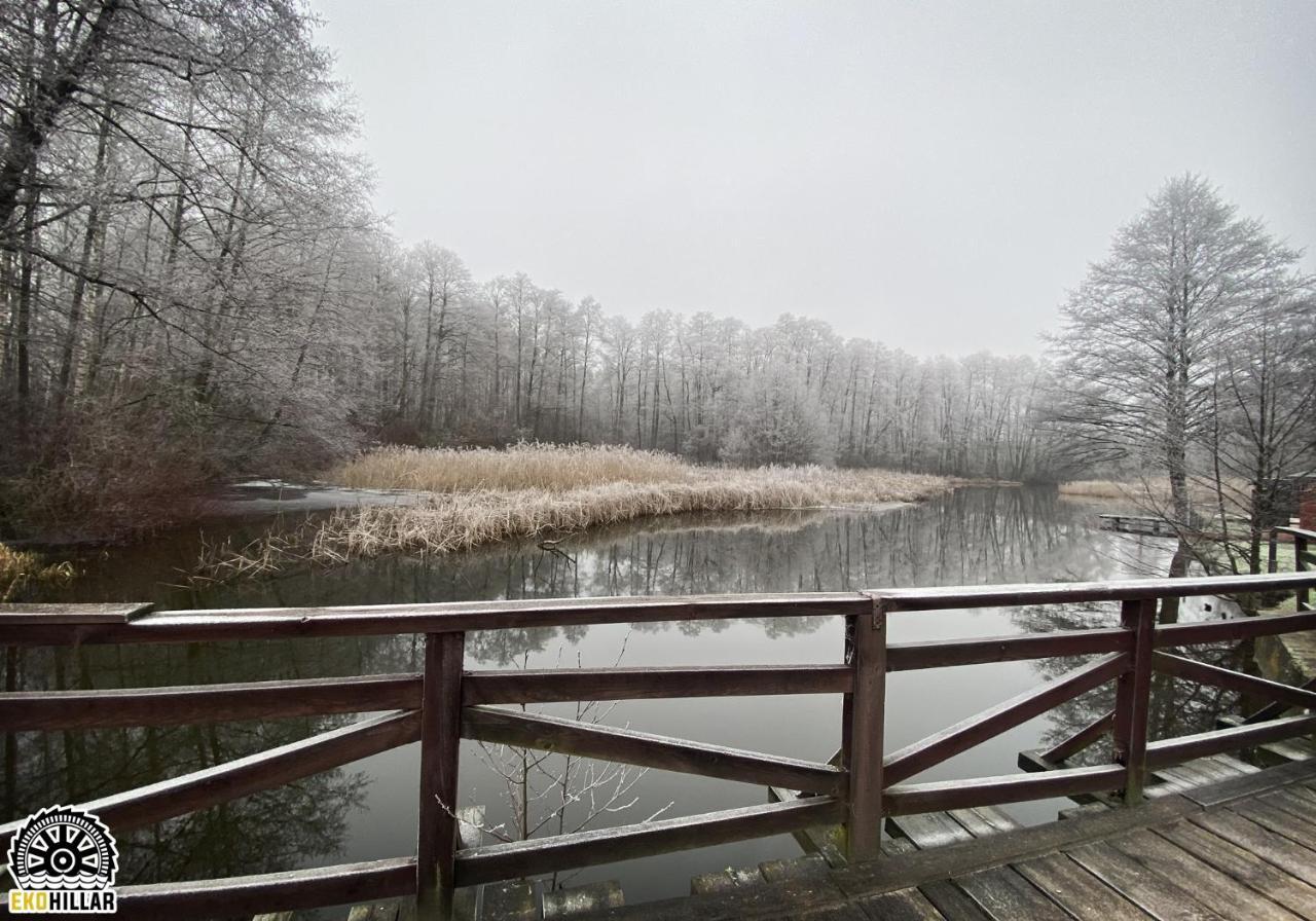 Mlyn Wodny Eko Hillar Villa Rybno  Bagian luar foto
