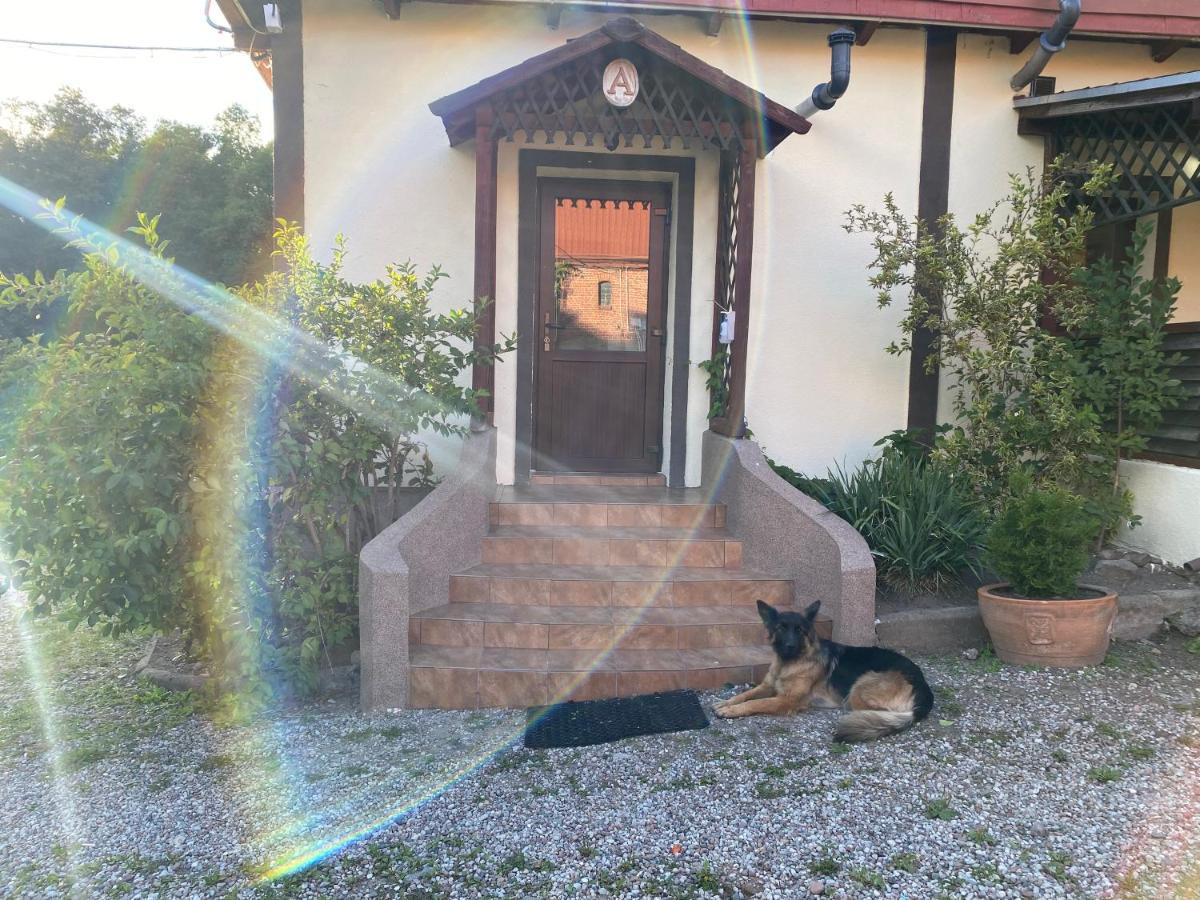 Mlyn Wodny Eko Hillar Villa Rybno  Bagian luar foto