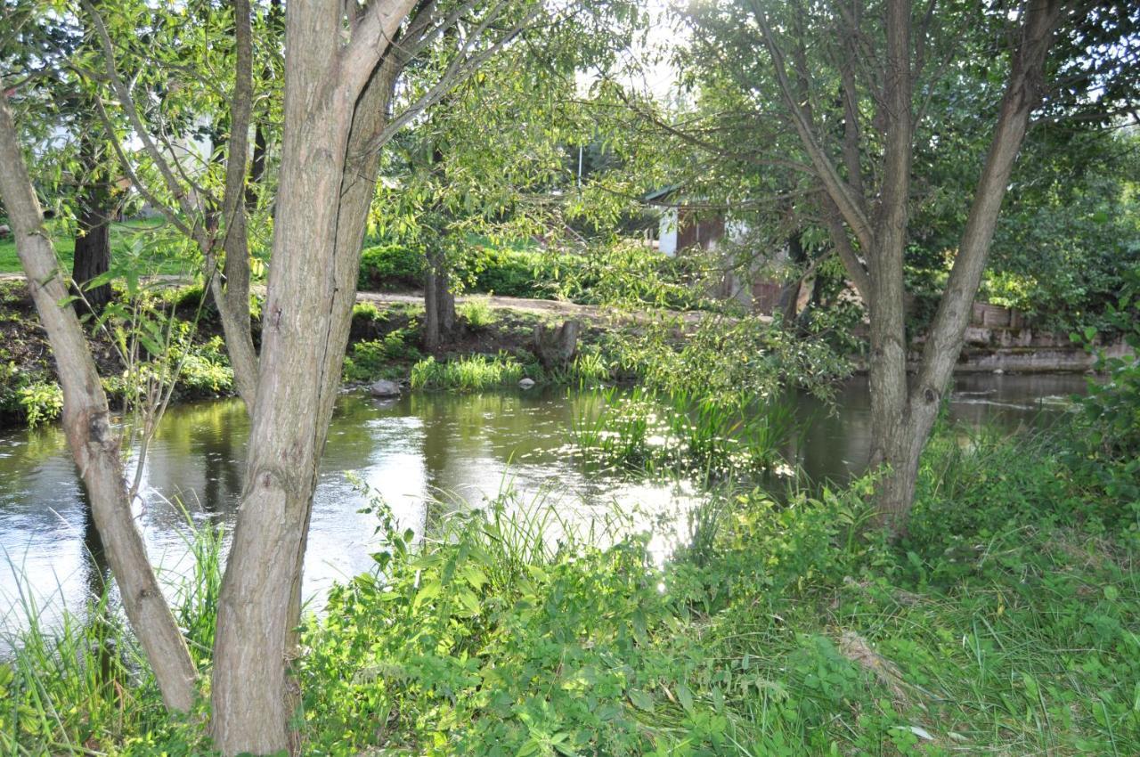 Mlyn Wodny Eko Hillar Villa Rybno  Bagian luar foto