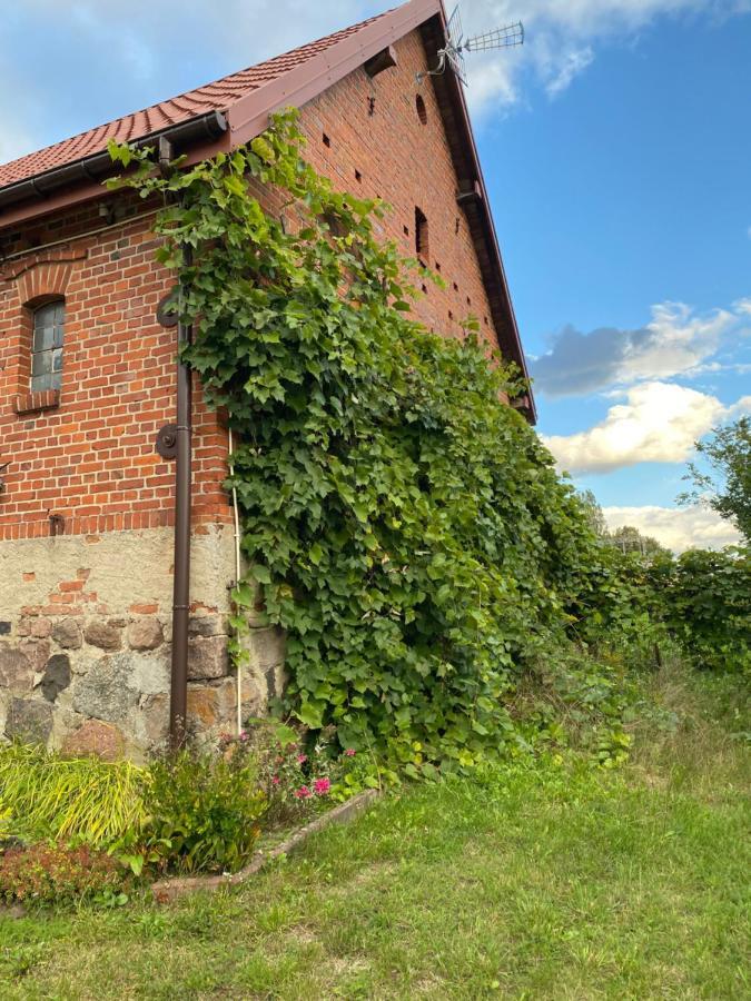Mlyn Wodny Eko Hillar Villa Rybno  Bagian luar foto